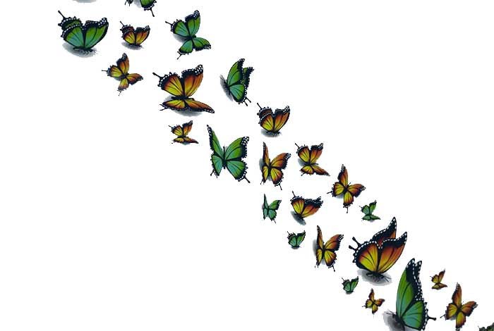 117 - Summer Brights (Green/yellow) Butterflies Foil