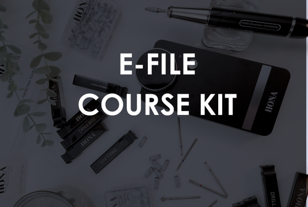 Online E-File Beginners Course Kit